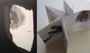 #3 : paspas
