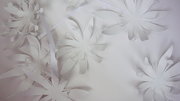 fleurs de papier