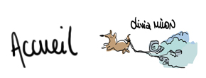 accueil book