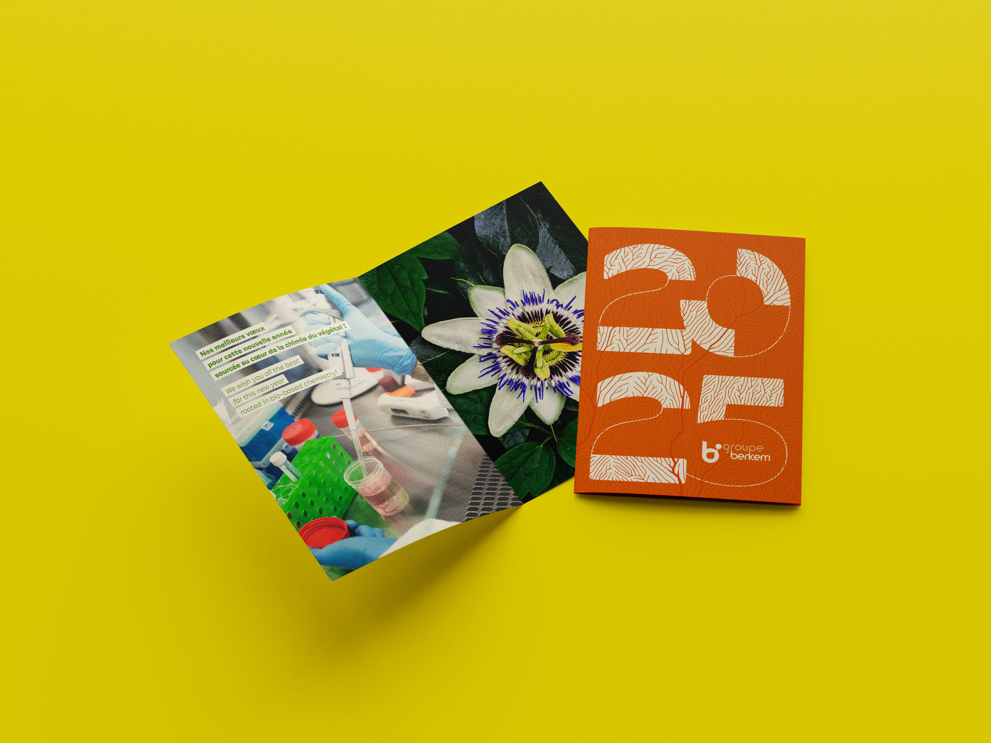Vœux 2025 - Présentation
