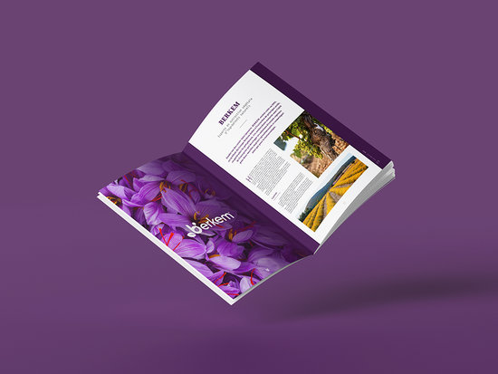 Brochure Institutionnelle 2022 - Adkalis