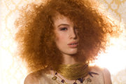 www.olivierbrauman.com