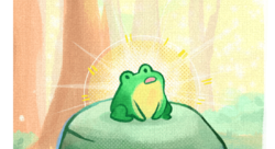 Grenouille - Eléonore Furlan-illustrateur