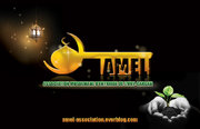 Affiche A.M.E.L