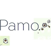 Ultra-book de Pamo Portfolio :Webdesign