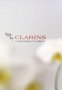 Stand Clarins Spa Summit 2009