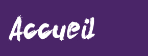 accueil book