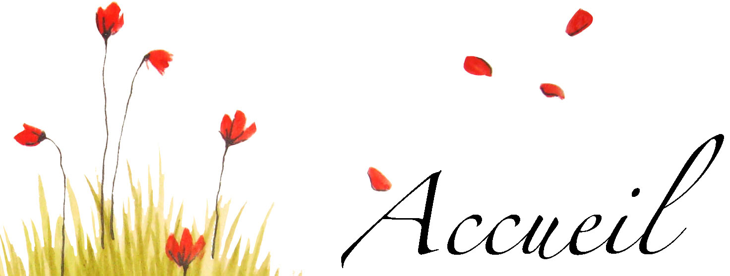accueil book