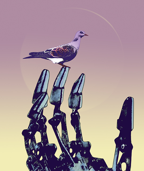 robot-pigeon.jpg