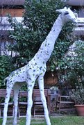 girafe 3