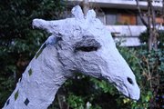 GIRAFE TETE 1