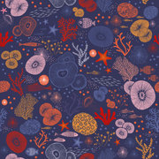 CORAIL bleumarine