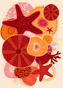 CORAIL