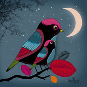 OISEAUX