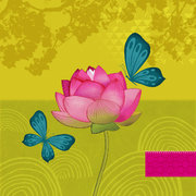 PAPILLONS