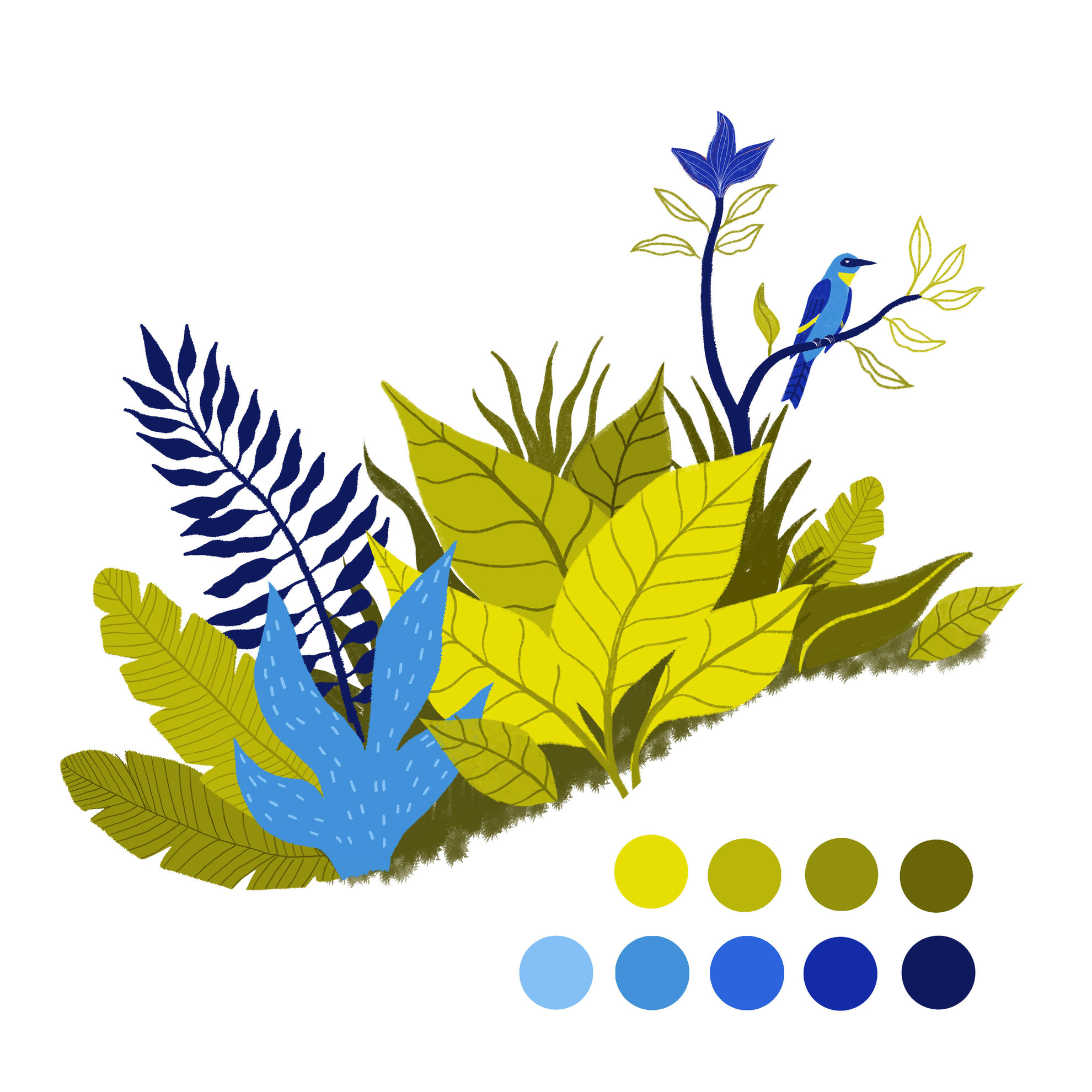 croquis fresque tropicale