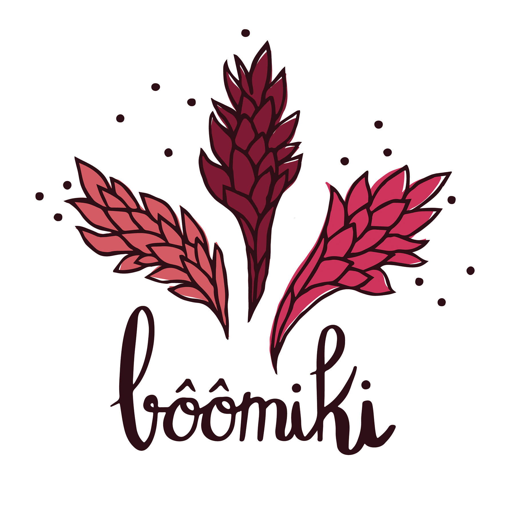 LOGO Boomiki