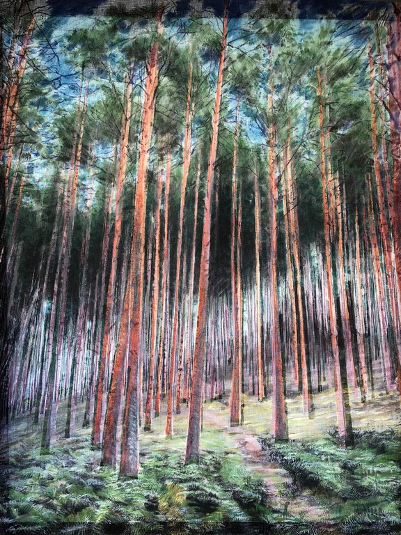 Moving scottish pines - 100 x 80 (vendu)