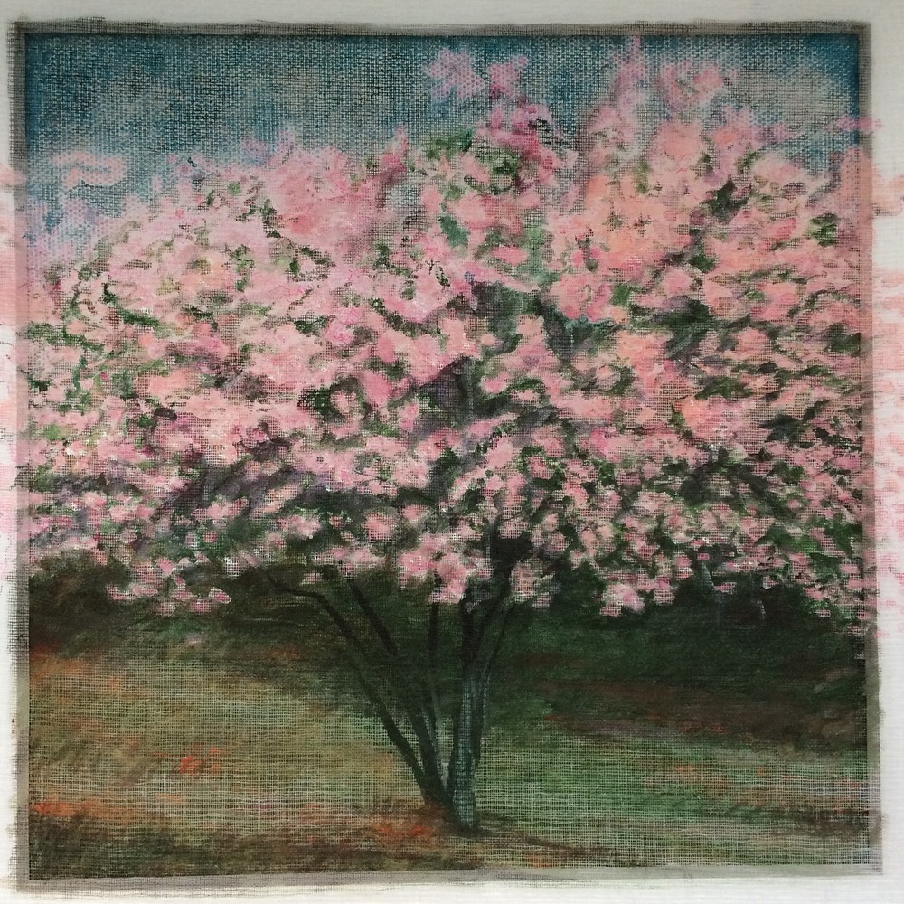 Le cerisier en fleur 50 x 50 (vendu)