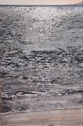 Mer scintillante hiver temps gris