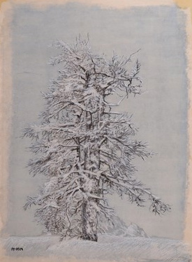 Meleze de la Rose