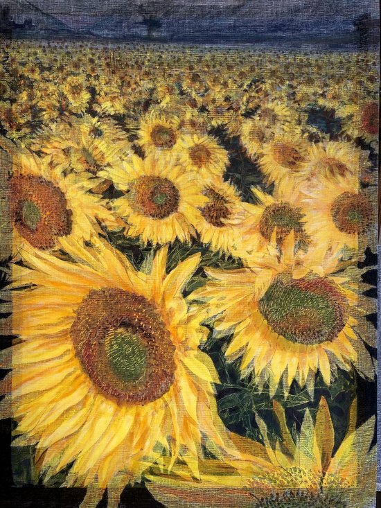 Des tournesols