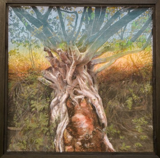 les racines du coeur - 100 x 100 Acquis Mairie d'Asnières