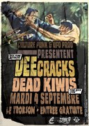 Affiche culture punk