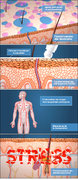 Etiaxil