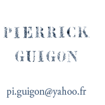 Pierrick Guigon - Illustrations : Ultra-book