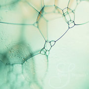 cellular