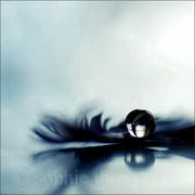 crow's tear