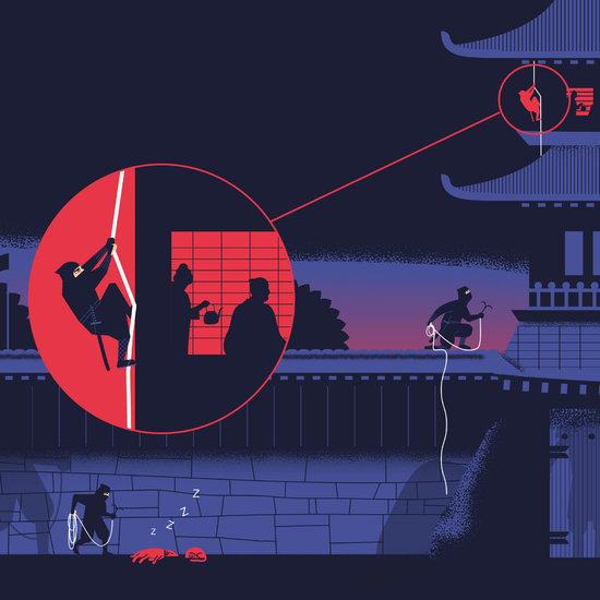 Le guide visuel des samourais et des Ninja. Larousse jeunesse