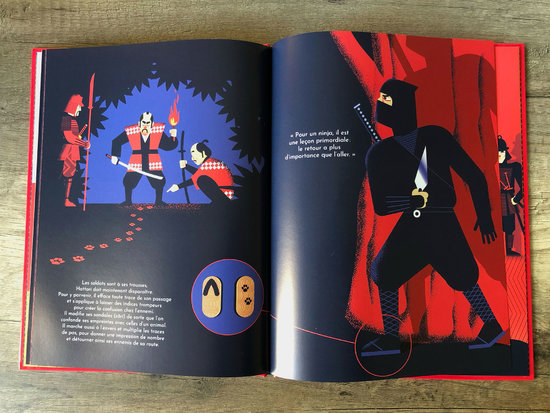 Le guide visuel des samourais et des Ninja. Larousse jeunesse