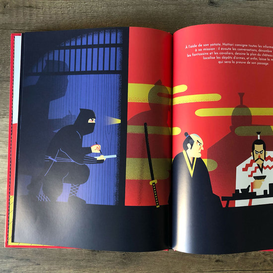 Le guide visuel des samourais et des Ninja. Larousse jeunesse