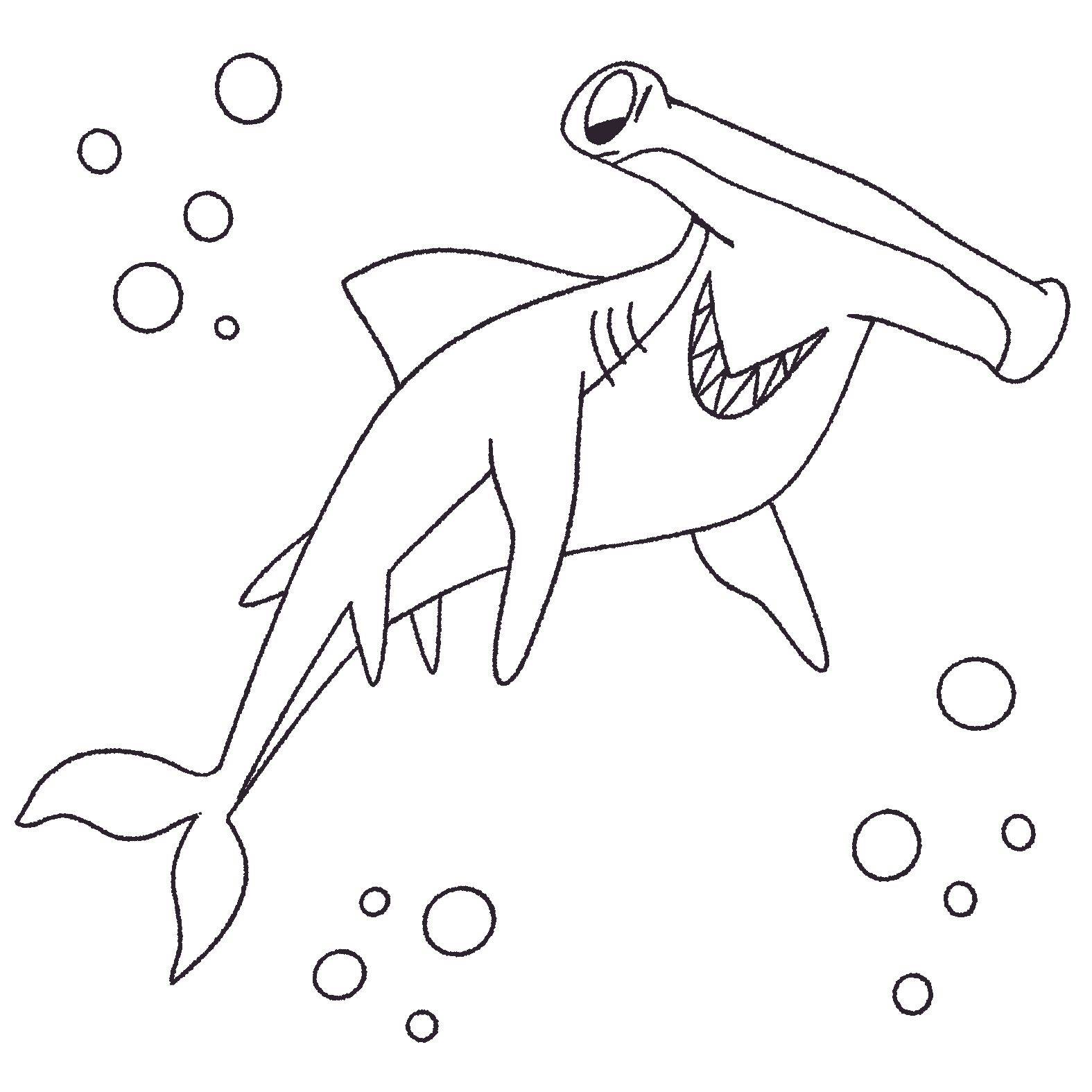 requin2