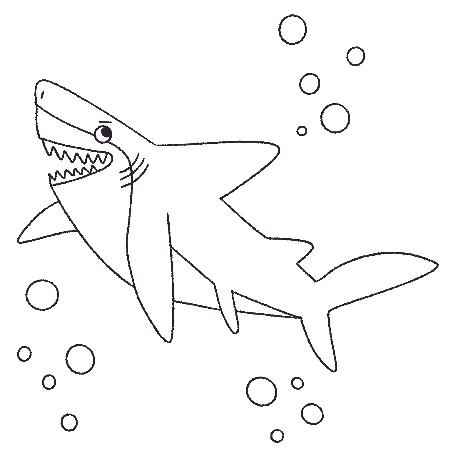 requin3