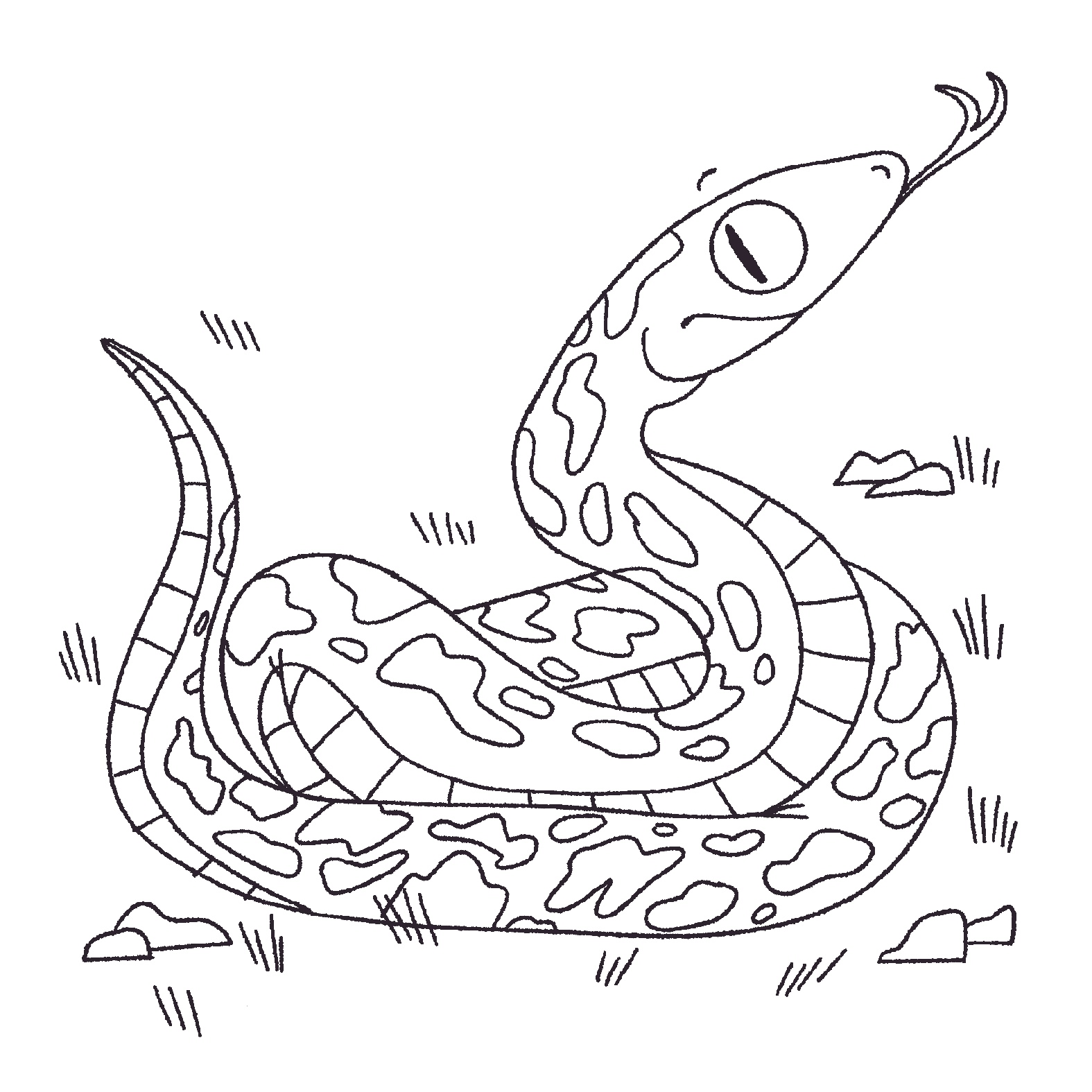 serpent2