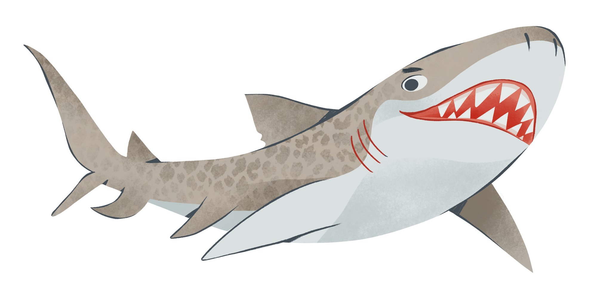 requin
