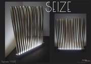 Seize