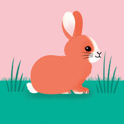 Le Lapin
