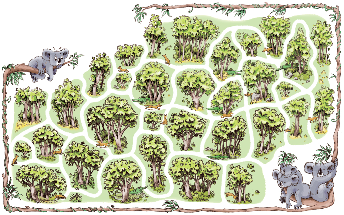 Koalas - rémi barbedienne - illustrateurs/rices