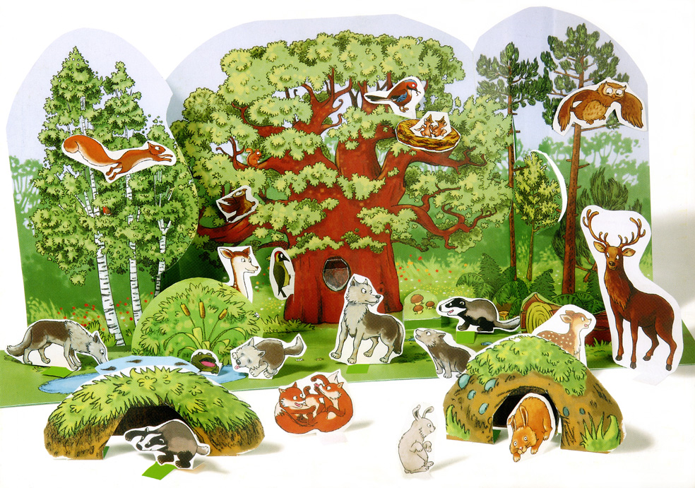 Forêt Européenne - rémi barbedienne - illustrateurs/rices