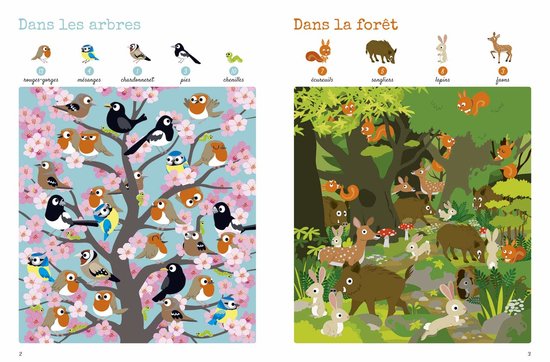Cherche et trouve 1000 animaux - Lito