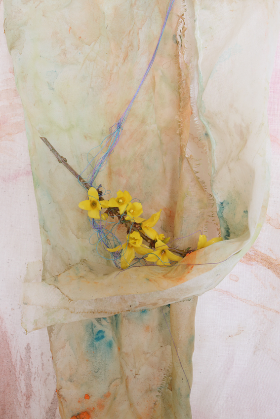 forsythia 2501<br/><span></span>