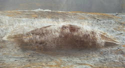 golden mist 2603 - Rieja van Aart-plasticien