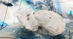 oister 2601 - Rieja van Aart-plasticien