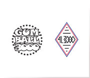 Projet : 4L3000