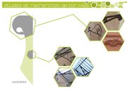Etudes et recherches de formes