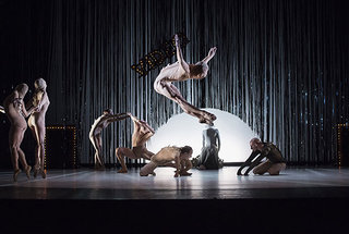 True and False Unicorn